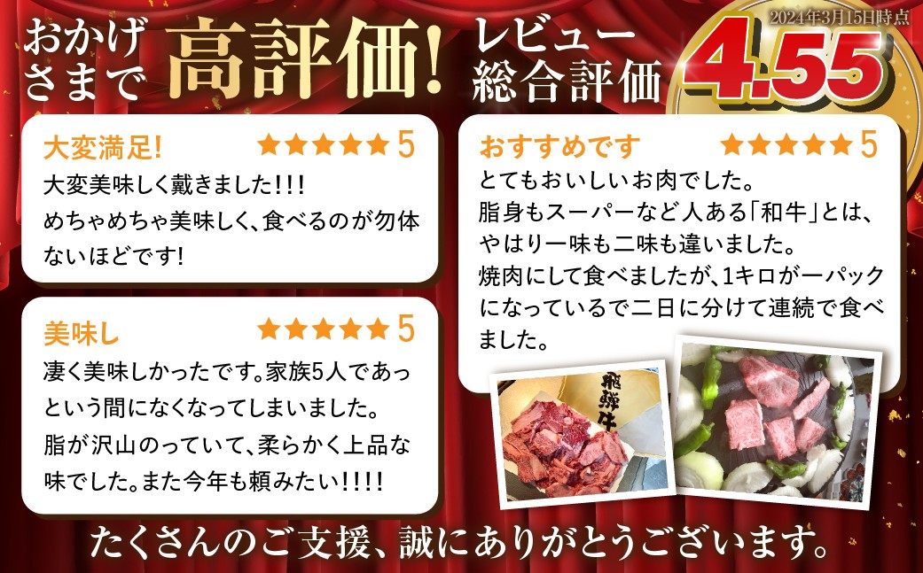 【人気急上昇】牛肉 訳あり 飛騨牛 焼肉用 切り落とし肉 1kg 25000円 訳アリ 焼き肉用 切り落とし 切落し 牛肉 肉 バーベキュー BBQ セット 和牛 焼肉 部位おまかせ ごちそう 贅沢飛騨牛  JA ひだ 大容量 人気 おすすめ アウトドア  国産 冷凍  駆け込み前の お申込なら すぐ届く すぐ届きやすい [S201] 