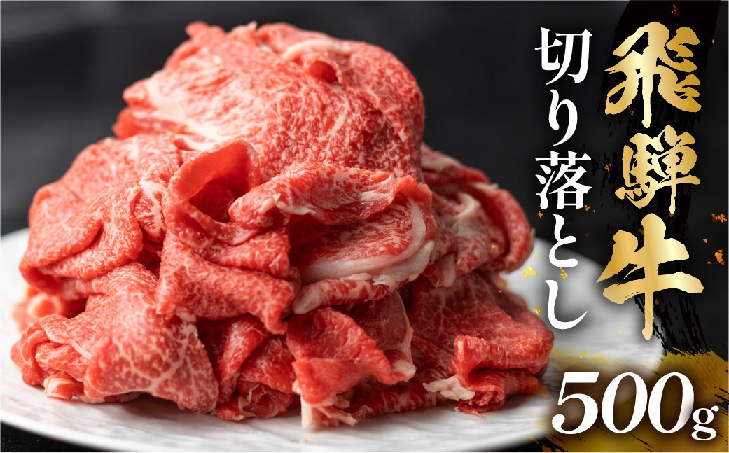 飛騨牛 切り落とし 500g 訳あり 10000円 [S768] 切落し 牛肉 肉 バーベキュー BBQ セット 和牛 焼肉 部位おまかせ ごちそう 贅沢飛騨牛 人気 おすすめ アウトドア 国産 冷凍
