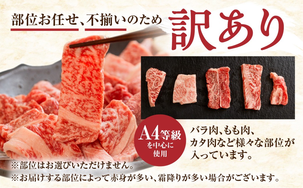 【人気急上昇】牛肉 訳あり 飛騨牛 焼肉用 切り落とし肉 1kg 25000円 訳アリ 焼き肉用 切り落とし 切落し 牛肉 肉 バーベキュー BBQ セット 和牛 焼肉 部位おまかせ ごちそう 贅沢飛騨牛  JA ひだ 大容量 人気 おすすめ アウトドア  国産 冷凍  駆け込み前の お申込なら すぐ届く すぐ届きやすい [S201] 
