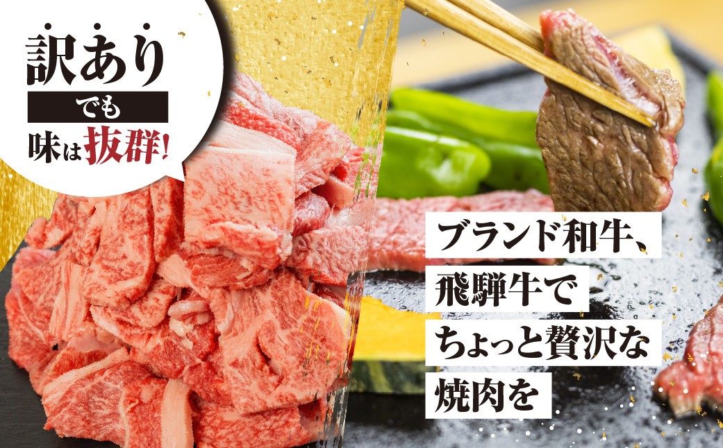 【人気急上昇】牛肉 訳あり 飛騨牛 焼肉用 切り落とし肉 1kg 25000円 訳アリ 焼き肉用 切り落とし 切落し 牛肉 肉 バーベキュー BBQ セット 和牛 焼肉 部位おまかせ ごちそう 贅沢飛騨牛  JA ひだ 大容量 人気 おすすめ アウトドア  国産 冷凍  駆け込み前の お申込なら すぐ届く すぐ届きやすい [S201] 