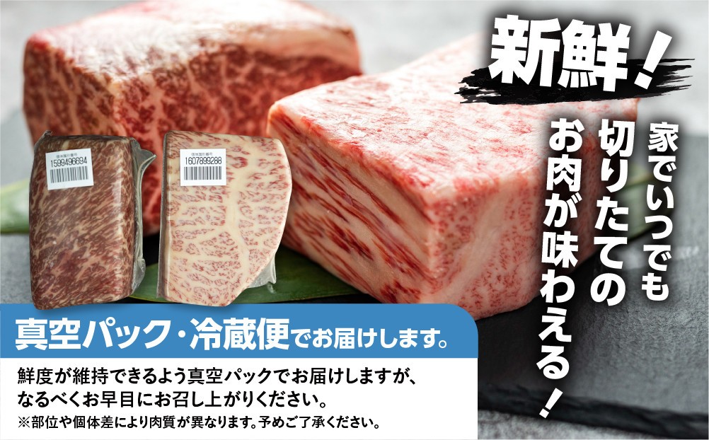 【人気急上昇】牛肉 飛騨牛 ブロック肉 1kg (霜降り肉 赤身肉 500g×2 ) 訳あり 訳アリ 部位お任せ 不揃い ローストビーフ  牛肉 ブロック セット 真空パック 黒毛和牛 肉　肉厚　大容量  バーベキュー BBQ キャンプ 焼き肉 焼肉 ごちそう JA 30000円 駆け込み前の お申込なら すぐ届く すぐ届きやすい [S090] 