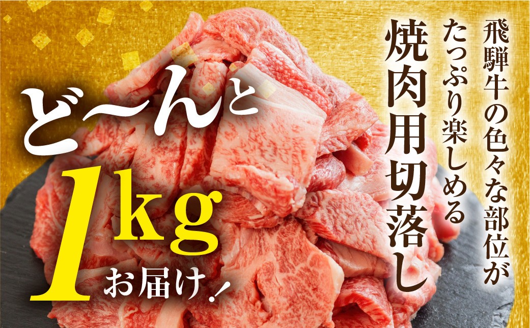 【人気急上昇】牛肉 訳あり 飛騨牛 焼肉用 切り落とし肉 1kg 25000円 訳アリ 焼き肉用 切り落とし 切落し 牛肉 肉 バーベキュー BBQ セット 和牛 焼肉 部位おまかせ ごちそう 贅沢飛騨牛  JA ひだ 大容量 人気 おすすめ アウトドア  国産 冷凍  駆け込み前の お申込なら すぐ届く すぐ届きやすい [S201] 