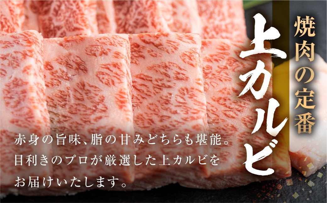 飛騨牛 焼肉用 上カルビ 300g 焼き肉 焼肉 お中元 お歳暮 霜降り 肉 牛肉 霜降り肉 JA 飛騨 BBQ バーベキュー お歳暮 ギフト 和牛 12000円 [S445] 