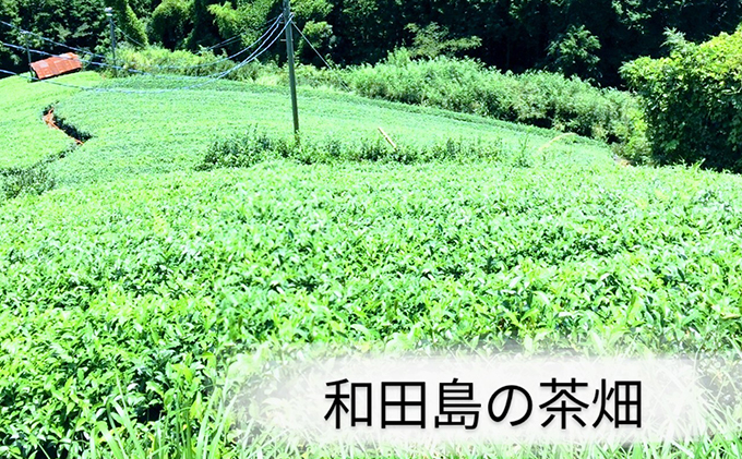【静岡市内でも産地によって味が違う！】静岡市産煎茶3地区「新間・梅ヶ島・和田島」飲み比べセット