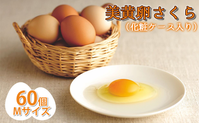 美黄卵さくら 60個（55個＋破損保障5個）（化粧ケース入り）【配送不可：沖縄・離島】鶏卵 たまご