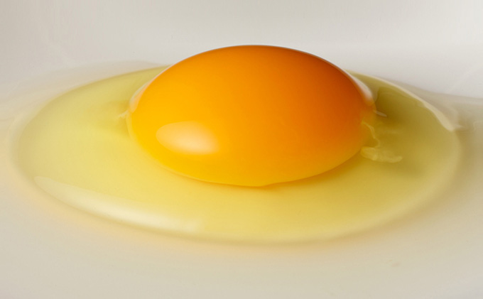 美黄卵さくら 40個（35個＋破損保障5個）（化粧ケース入り）【配送不可：沖縄・離島】鶏卵 たまご