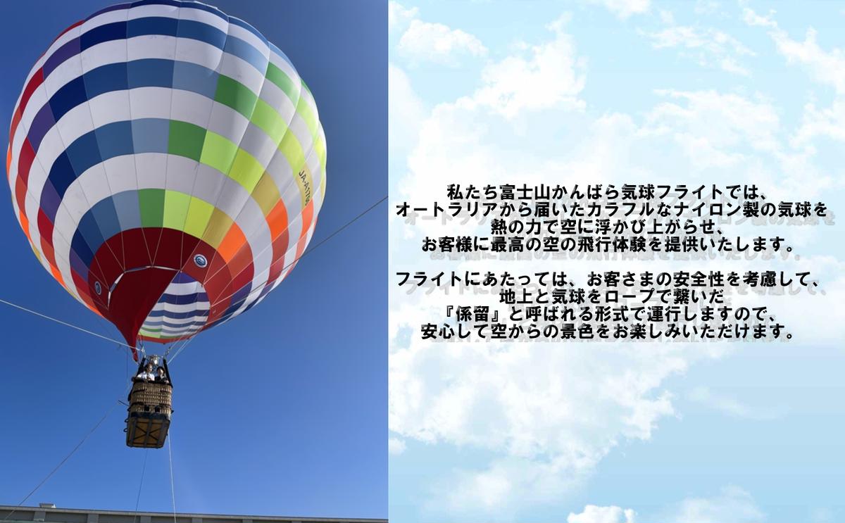 富士山 かんばら 気球フライト 熱気球搭乗 チケット【貸切/大人1名～5名】蒲原 静岡市 体験 