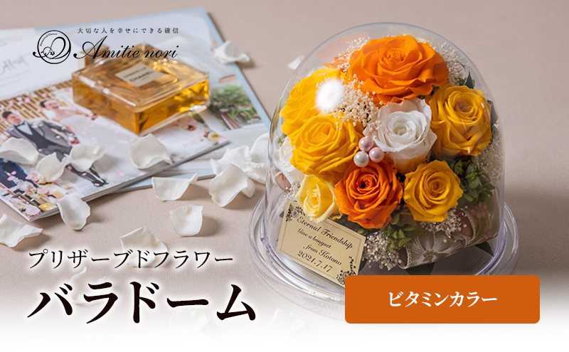 【Amitie nori】プリザーブドフラワー 最愛の人に贈る11本のバラドーム（ビタミンカラー） アミティエ ノリ 記念日 母の日 誕生日 プレゼント お祝い 長寿 プロポーズ