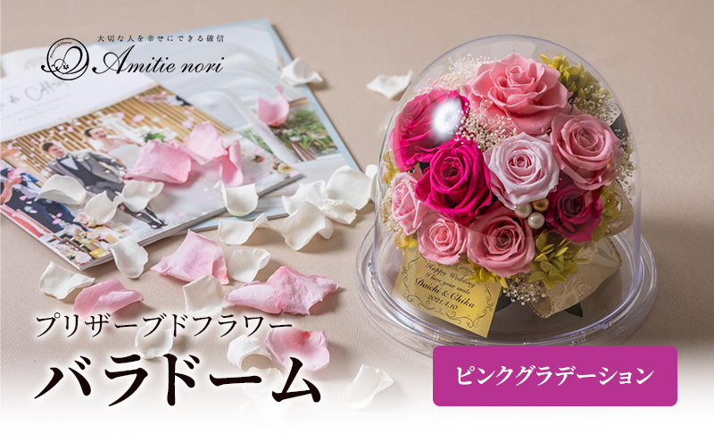 【Amitie nori】プリザーブドフラワー 最愛の人に贈る11本のバラドーム（ピンクグラデーション） アミティエ ノリ 記念日 母の日 誕生日 プレゼント お祝い 長寿 プロポーズ