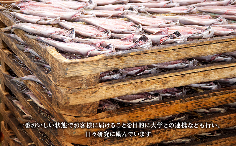 THE HIMONO 三保サーモン塩糀干し 約1kg 冷凍 鮭 さけ サケ 魚 焼魚 焼き魚 干物 おかず 海の幸