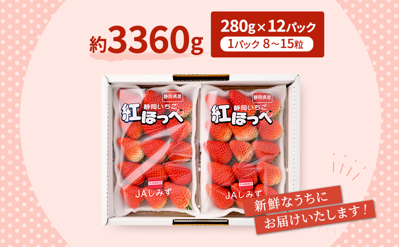いちご ほっぺたが落ちる 紅ほっぺ 3箱 12パック 果物 イチゴ 苺 国産 ギフト 贈答品 お祝い プレゼント フルーツ くだもの