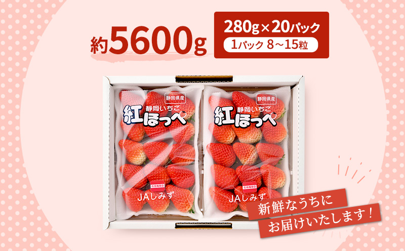 いちご ほっぺたが落ちる 紅ほっぺ 5箱 20パック 果物 イチゴ 苺 国産 ギフト 贈答品 お祝い プレゼント フルーツ くだもの
