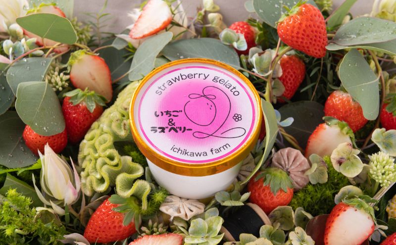 【食べ比べ】いちご農家が作る 静岡いちご ジェラート 3種 x 各種 147ml 2個 計6個（いちご・いちごミルク・ベリーズ）冷凍 苺 デザート アイスクリーム