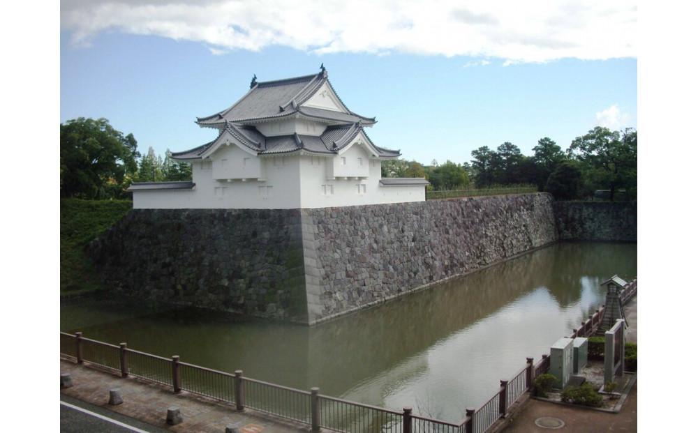 静岡県静岡市　日本旅行　地域限定旅行クーポン60,000円分