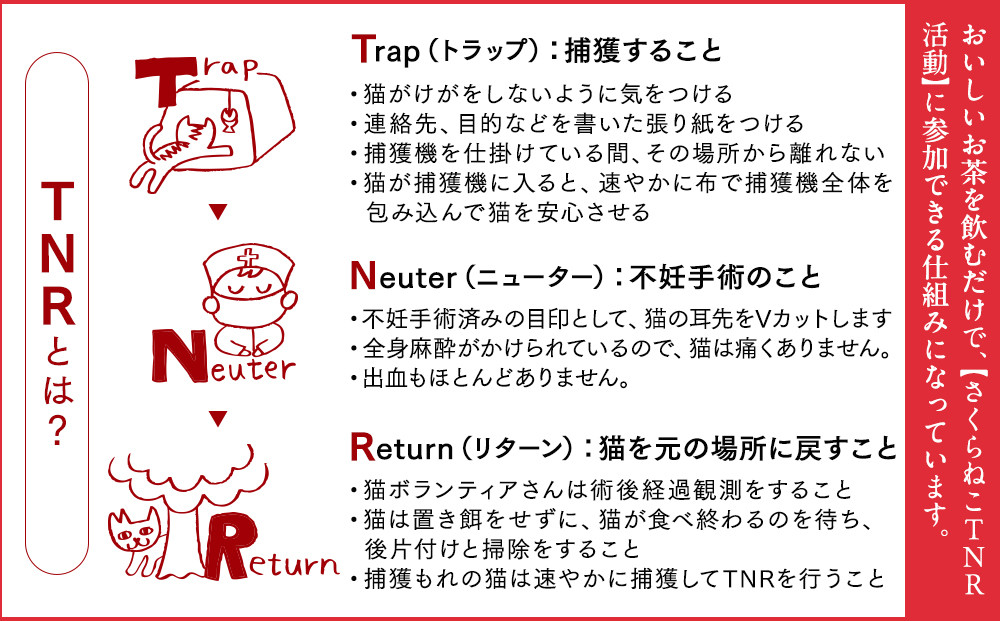 ããããããTNRæŽ»åæ¯æŽãé岡åžç£è¶ãã£ãŒããã°3çš®é¡ïŒé岡è¶ã»ã»ããè¶ã»åçŽ
è¶ïŒå12åå
¥ èš36ãã£ãŒããã°