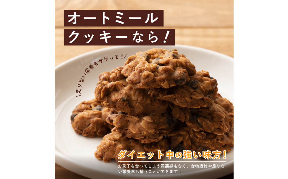 オートミールクッキー チョコチップ 1kg(100g×10袋)