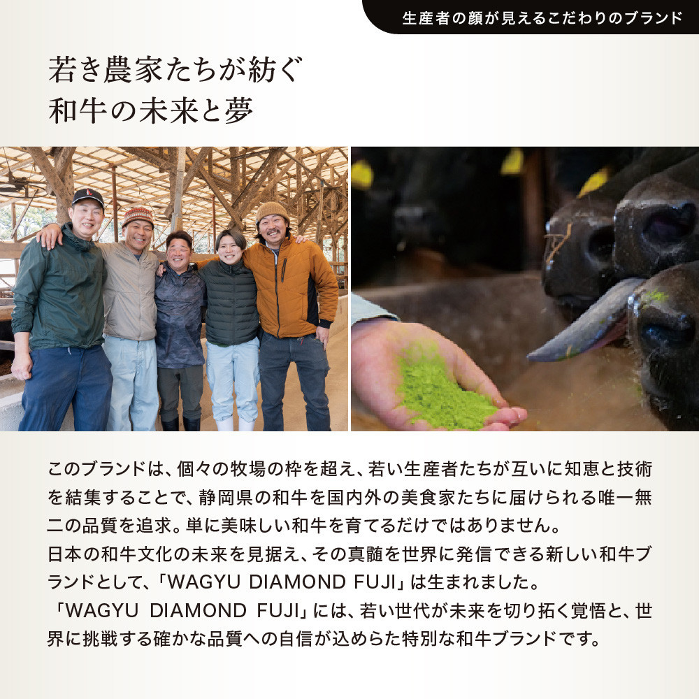 WAGYU DIAMOND FUJI モモ（赤身） ステーキ 300g【配送不可：離島】