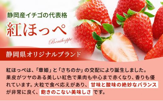 いちご ほっぺたが落ちる 紅ほっぺ  8パック 果物 イチゴ 苺 国産 ギフト 贈答品 お祝い プレゼント フルーツ くだもの