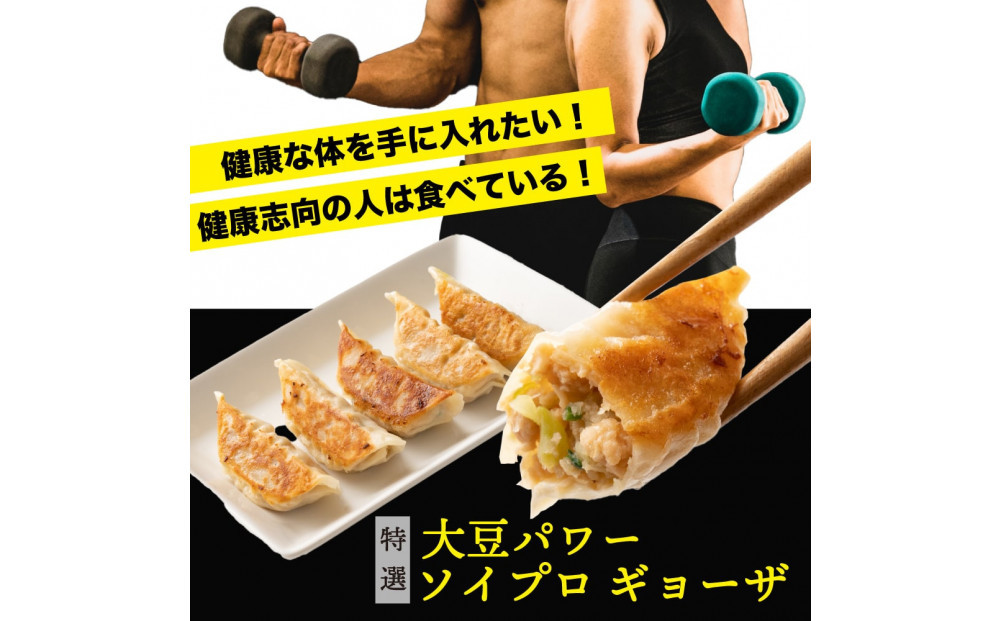 大豆パワー ソイプロギョーザ 90個(30個入×3袋)