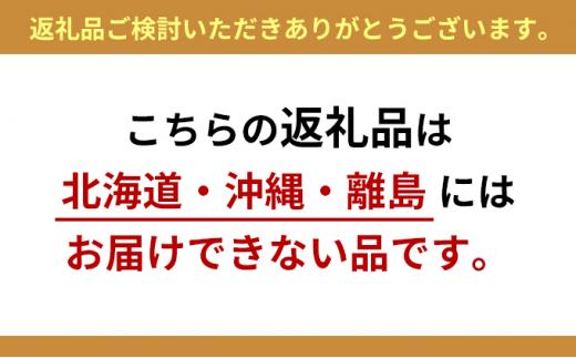 クッション付きベンチチェスト2人掛け  ピンク【配送不可：北海道・沖縄・離島】