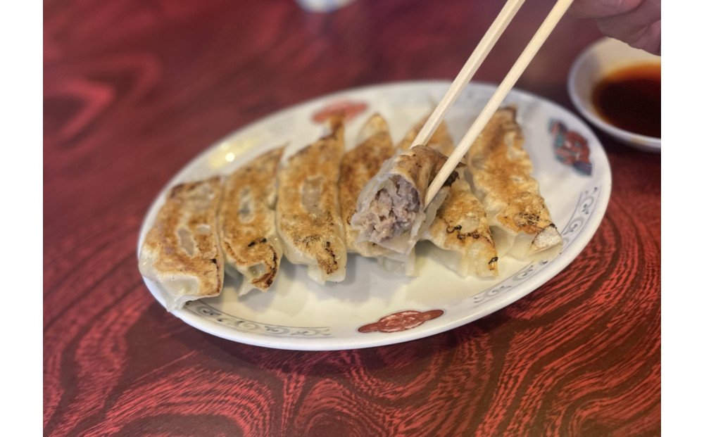 肉餃子 45個【配送不可：沖縄県・離島】