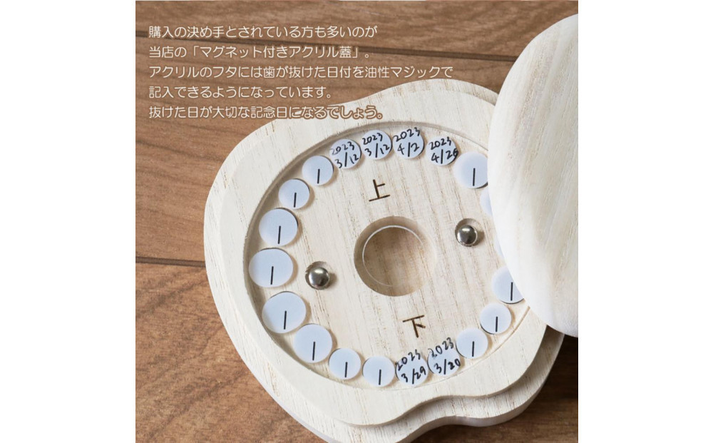 乳歯ケース ティース君（ひょっこりティース君）