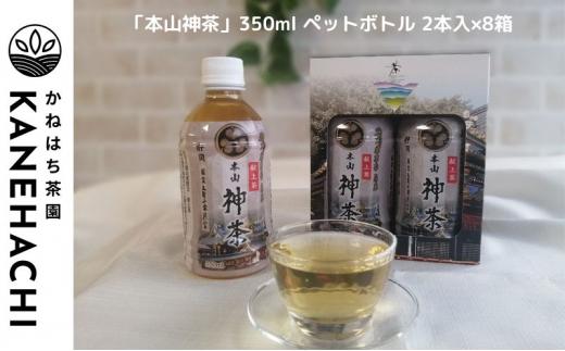 静岡久能山東照宮献上茶「本山神茶」 お茶 350ml ペットボトル 2本入×8箱 セット 静岡市葵区産 かねはち茶園 飲料 オススメお茶