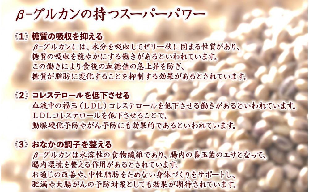 もち麦 4.0kg(400g×10袋)