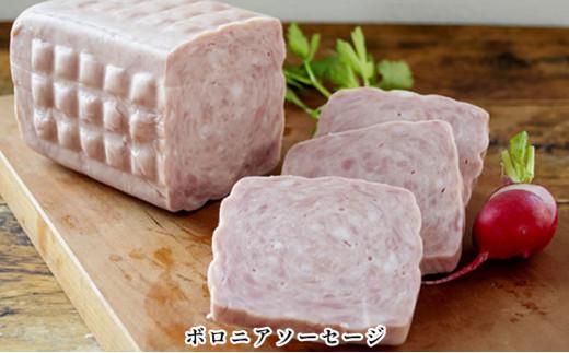 手作りハム 2本セット 合計2kg（ボロニアソーセージ・プレスハム×各1kg）【配送不可：離島】