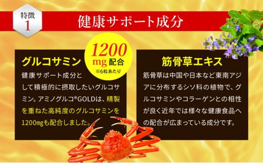 アミノグルコGOLD EX 20日分（10日分×2袋） グルコサミン プロテオグリカン II型コラーゲン イミダゾールペプチド エラスチン サプリメント