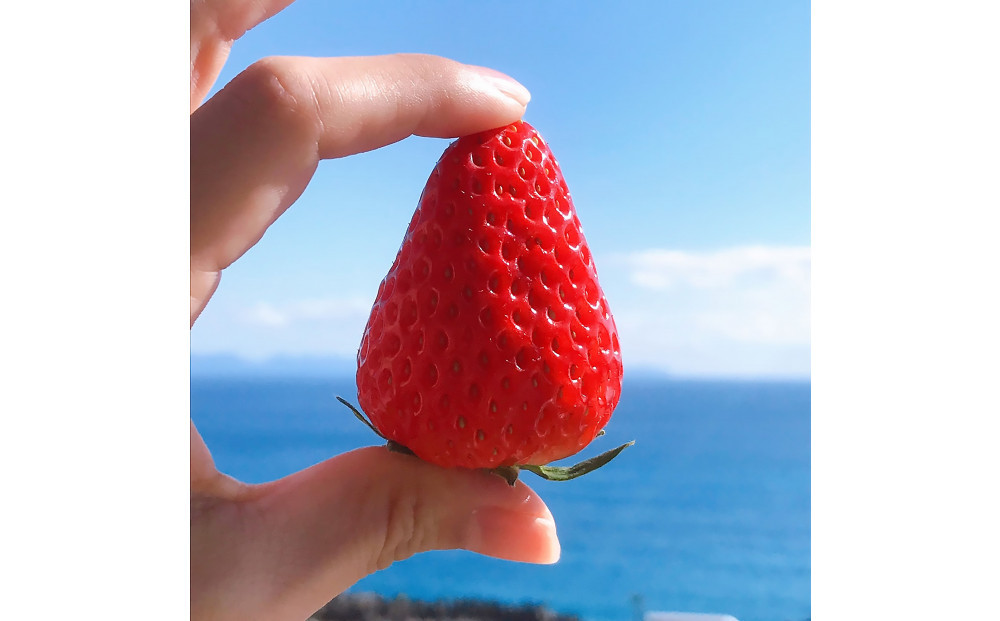 ã2026幎1æããé æ¬¡çºéãé岡ç¹ç£ã»ç³å£èºã2Lïœ4Lããã¯ã¹ çŽ280gÃ2ããã¯â
çŽ
ã»ã£ãº