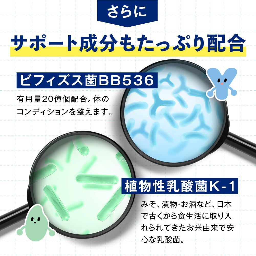 便通を改善する 乳酸菌サプリメント ラクトデル 機能性表示食品 6袋セット