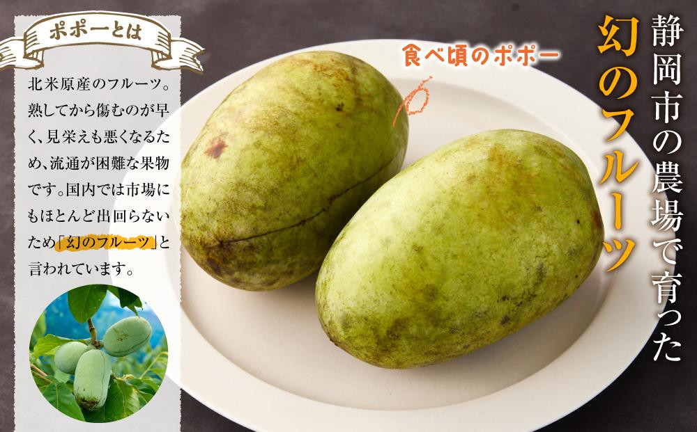 【2026年9月中旬頃より発送 受付締切9月20日】ポポー 約1kg【受取日事前打合せ可能な方限定】【配送不可：離島】幻の果実 レア フルーツ ポポー 健康 美容 美肌 ファーム池の沢 静岡市◇