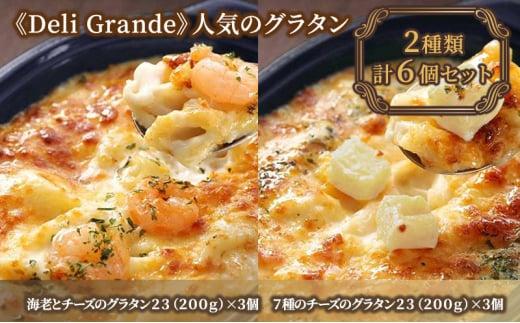 《Deli Grande》人気のグラタン 2種類 6個セット【冷凍】