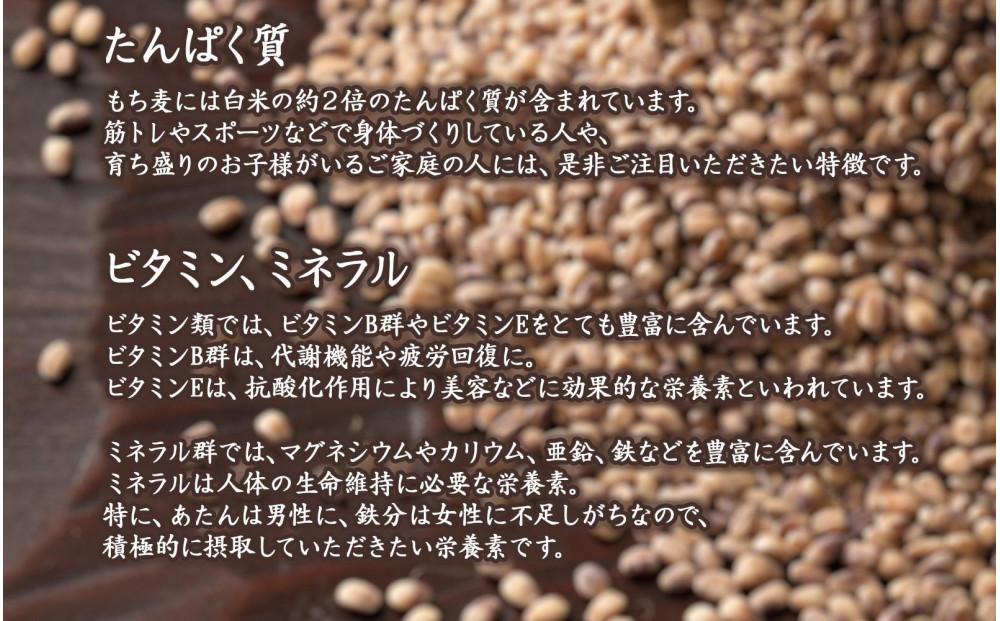 もち麦 4.0kg(400g×10袋)