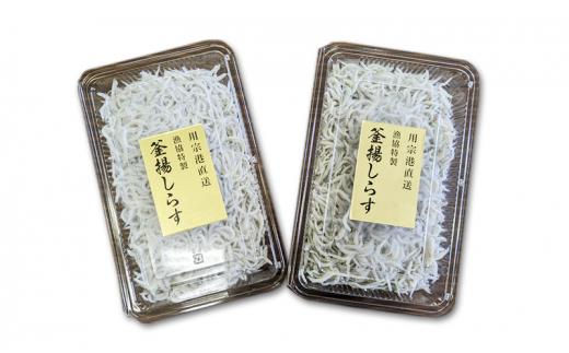 用宗港直送釜揚げしらす（280g×2パック） シラス 釜揚 釜揚げ パック 新鮮 冷蔵