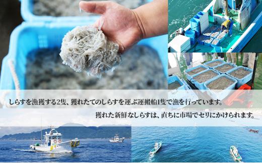 用宗港直送釜揚げしらす（280g×2パック） シラス 釜揚 釜揚げ パック 新鮮 冷蔵