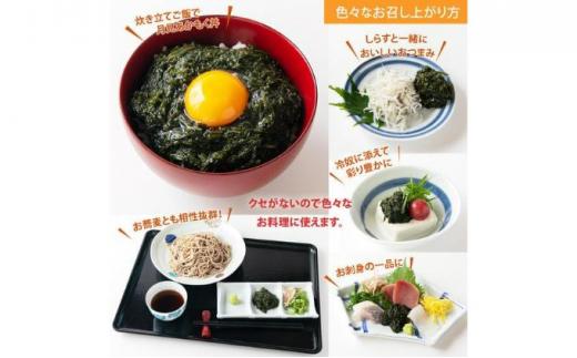 駿河湾産 味付 あかもく 海とろろ【すっぱみかん味】おすすめセット 120g×5パック 無添加 アカモク 静岡県静岡市 ギバサ 海藻 冷凍 小分け 海鮮 海産物