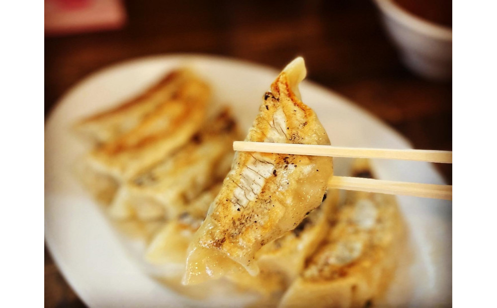 肉餃子 45個【配送不可：沖縄県・離島】