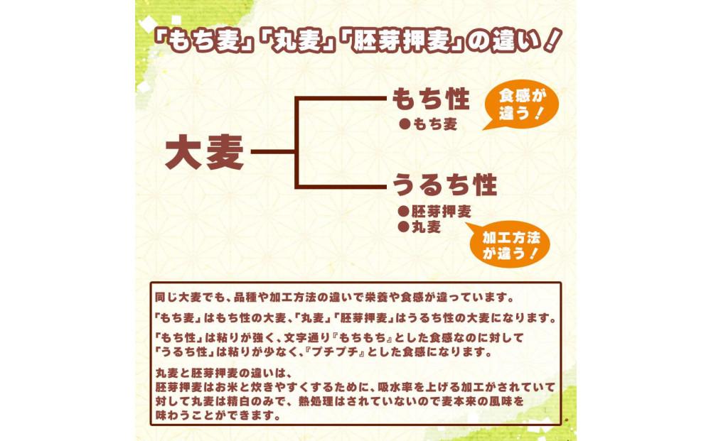 もち麦 4.0kg(400g×10袋)