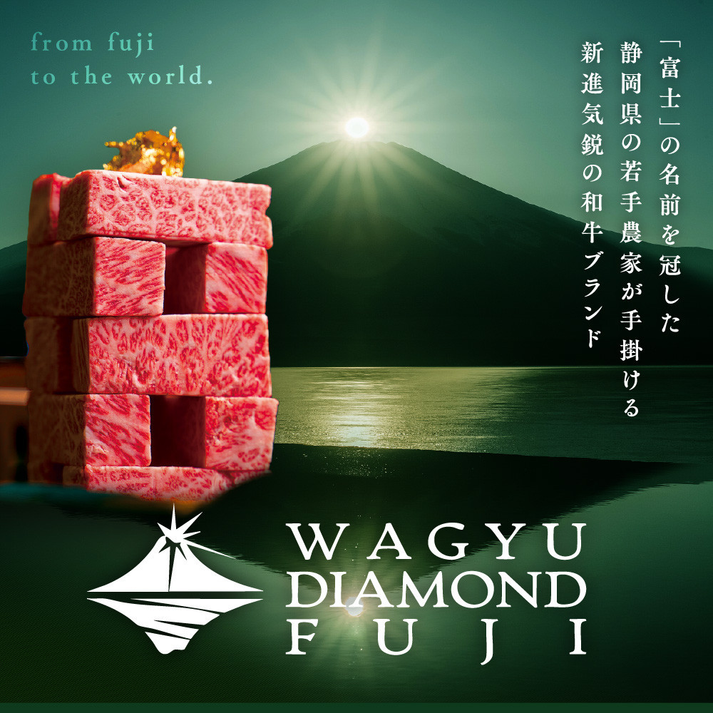 WAGYU DIAMOND FUJI ヒレ ステーキ 250g【配送不可：離島】