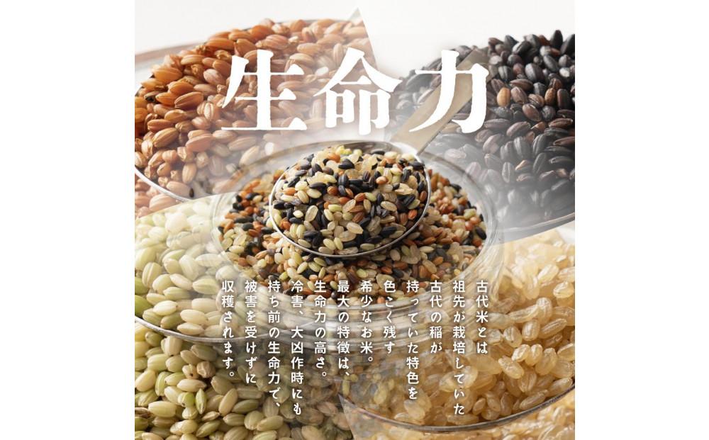 蝗ス逕」蜿、莉」邀ウ4 遞ョ繝悶Ξ繝ウ繝 8kg(400gテ20陲)