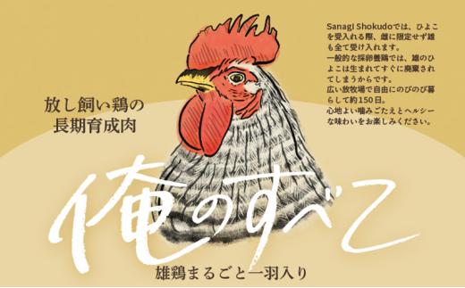 放し飼い鶏の長期育成肉「俺のすべて」 冷凍 鶏肉 1羽分パック 生（もも・むね・ささみ・手羽元・手羽先）約900gから ヘルシー 焼き鳥 唐揚げ とり肉