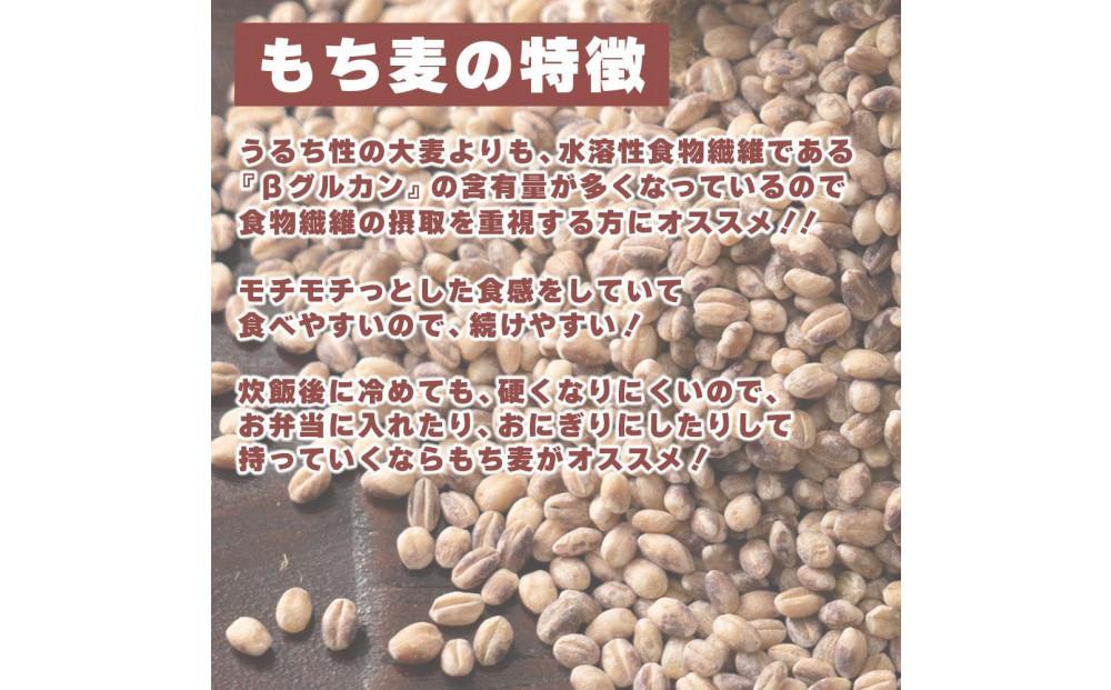 もち麦 4.0kg(400g×10袋)