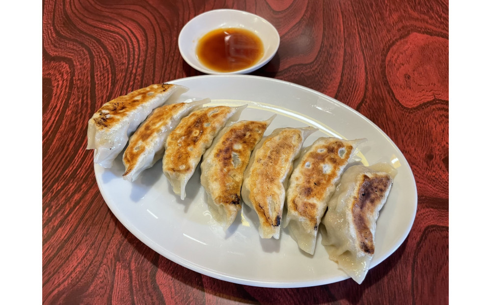 肉餃子 45個【配送不可：沖縄県・離島】