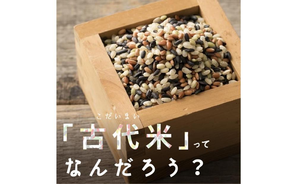 蝗ス逕」蜿、莉」邀ウ4 遞ョ繝悶Ξ繝ウ繝 4.0kg(400gテ10陲)