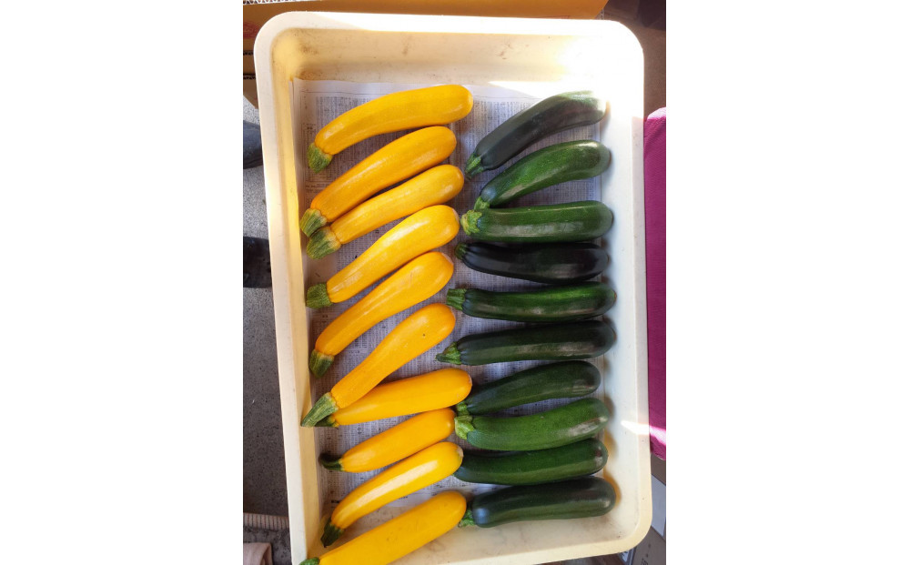 旬のお野菜詰め合わせセット【配送不可：北海道・沖縄・離島（一部除く）・島しょ部】◇