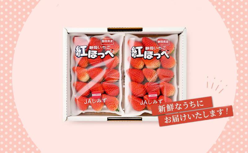 いちご ほっぺたが落ちる 紅ほっぺ  8パック 果物 イチゴ 苺 国産 ギフト 贈答品 お祝い プレゼント フルーツ くだもの