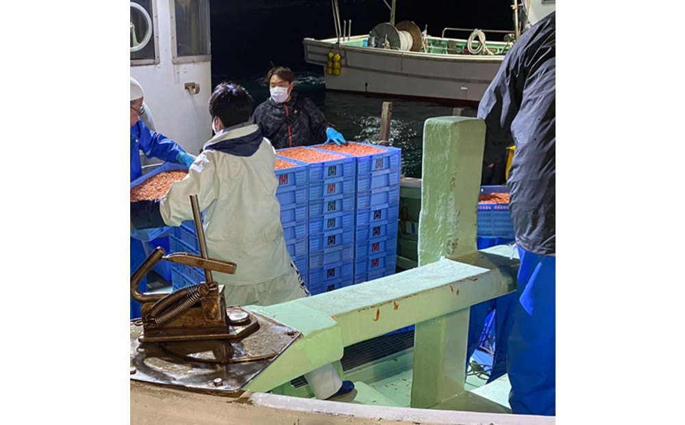 桜えび２種、しらす２種セット【配送不可：離島】