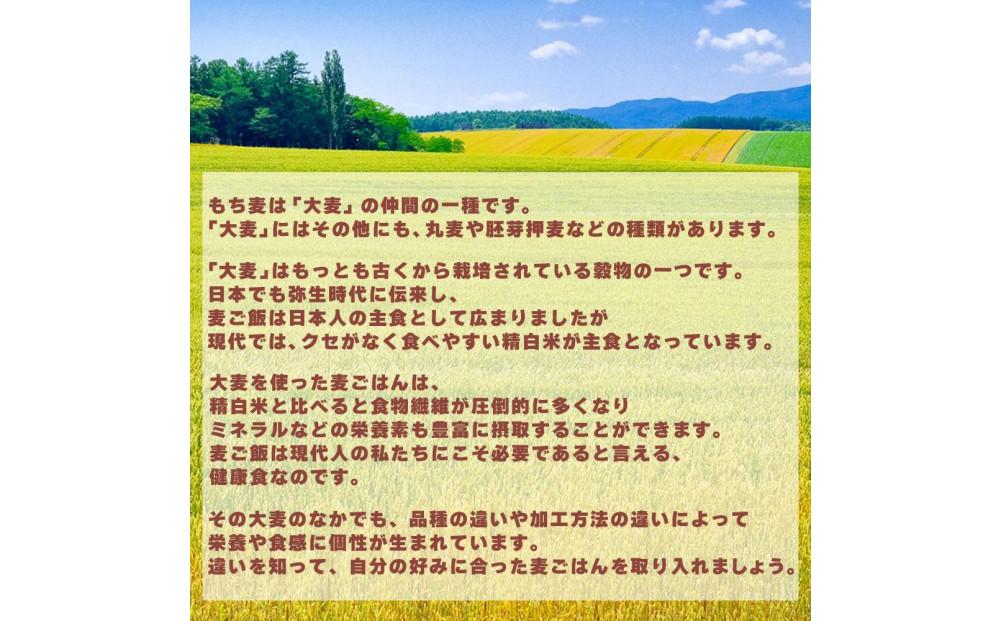 もち麦 4.0kg(400g×10袋)